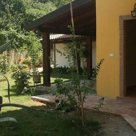 B&B Del Castagneto San Marco Argentano Extérieur photo